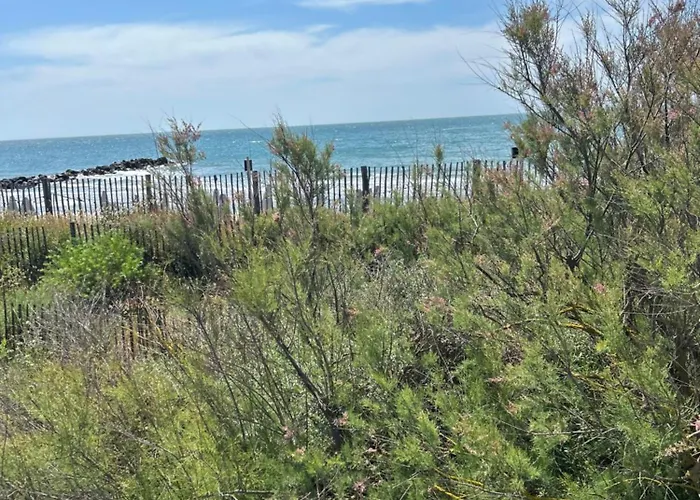 Confortable 211 Direct Access To Sea 3min, 2 Parking Free